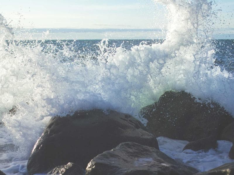 Trendy Timber — Furniture E-Commerce